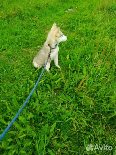 Мальчик и девочка