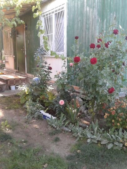 Участок 10 сот. (СНТ, ДНП)