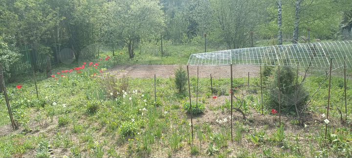 Участок 12 сот. (СНТ, ДНП)