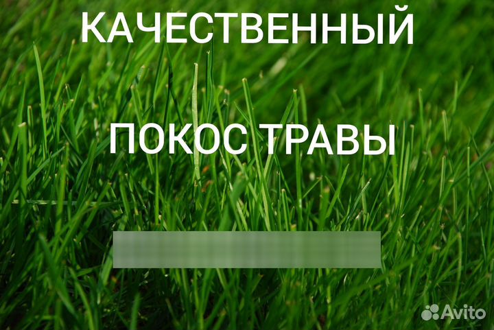 Покос травы