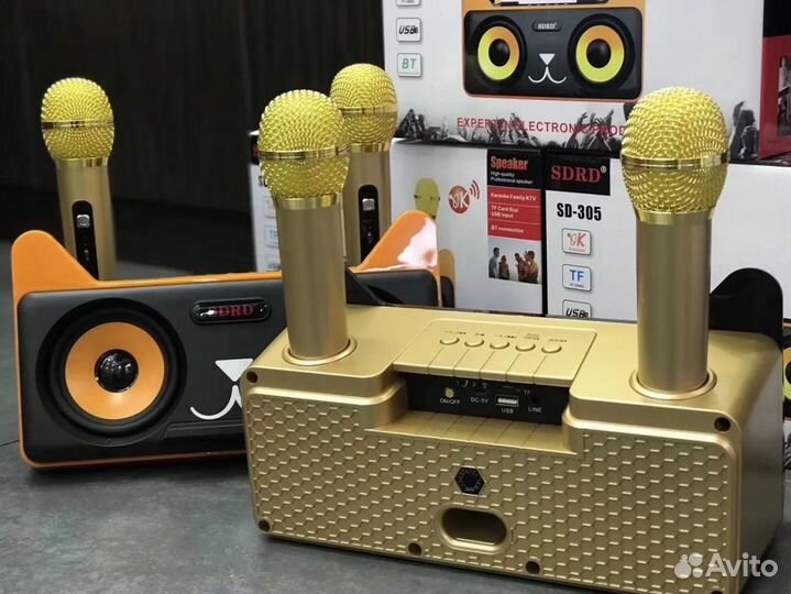 Колонка с 2 микрофонами котик sdrd SD305