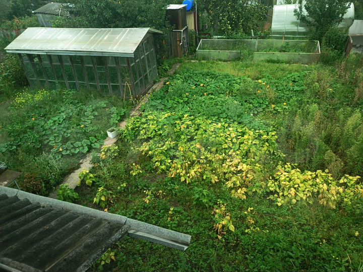 Дача 69 м² на участке 4 сот.