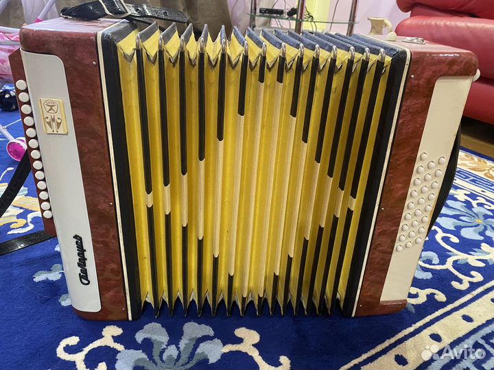 Гармонь Беларусь