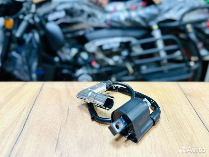 Катушка зажигания на Снегоход Dingo T150