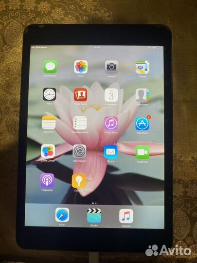 iPad mini (1-го поколения)