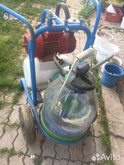 Доильный аппарат для коз