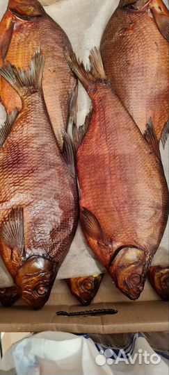 Рыба от производителя. Сельдь сс, копчение