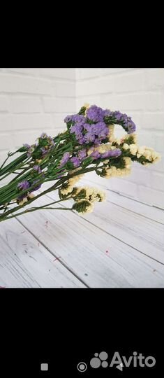 Статица стабилизированная