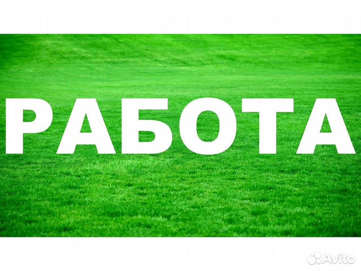 Вахта Грузчик на Склад техники /Отл. Усл. Б/Оп