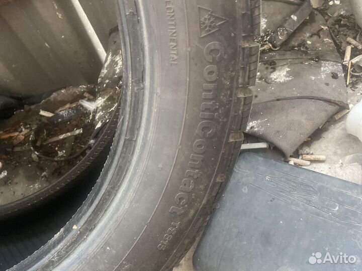 Continental ContiWinterContact TS 815 205/50 R17