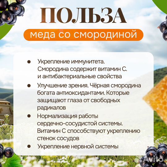 Медовая паста с черной смородиной