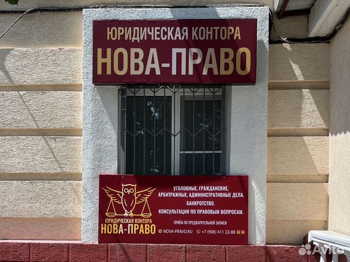 Адвокаты и юристы