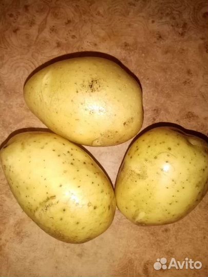Продаю картофель