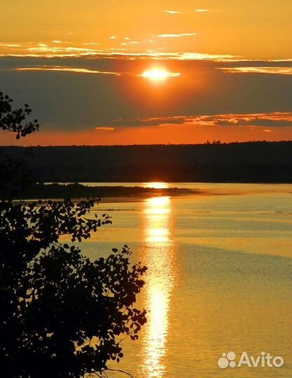 Путешествие путевка семейный люкс б/оУвильды