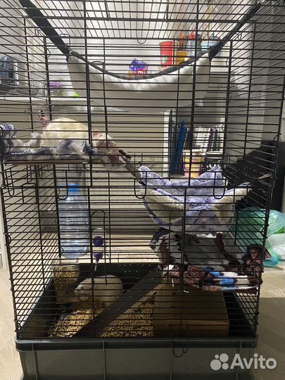 Клетка для грызунов большая