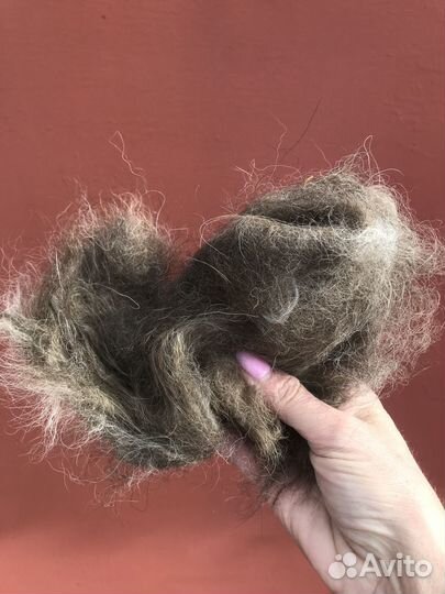 Собачья шерсть
