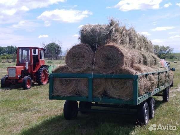 Сено в рулонах