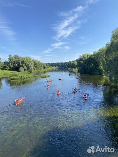 Сплав на байдарках с Горсплав