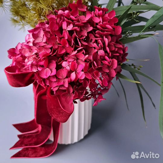 Комнатные растения цветы