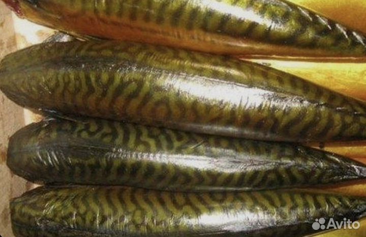 Форель, судак, икра, рыбные фарши, вяленая рыба