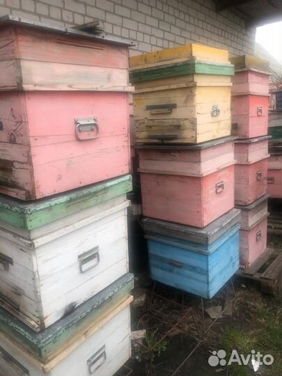Ульи для пчел и оборудование