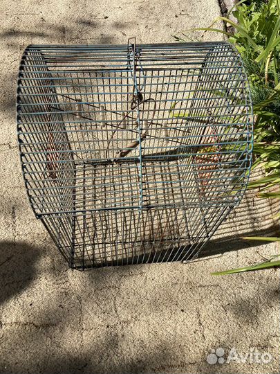 Клетка для среднего попугая