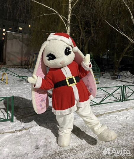 Аниматоры, Чебурашка, праздники