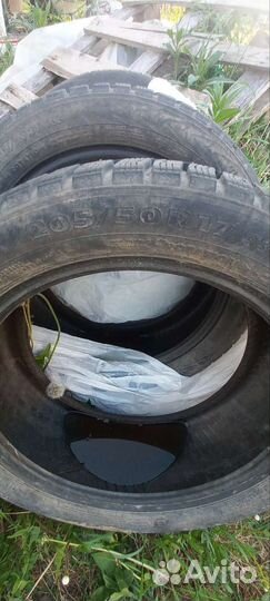 Nokian Tyres Nordman 7 205/50 R17