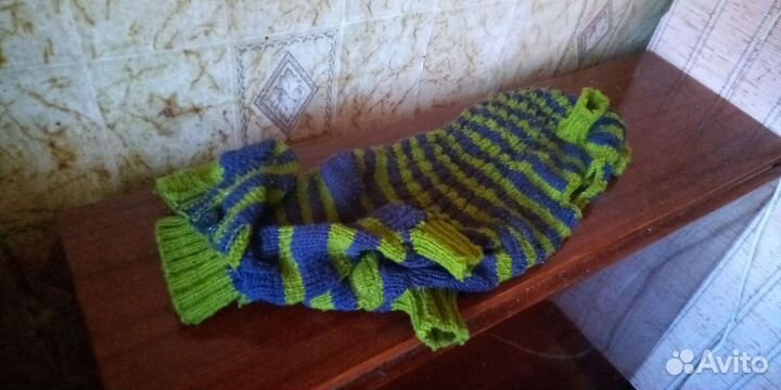 Комбинезон для таксы