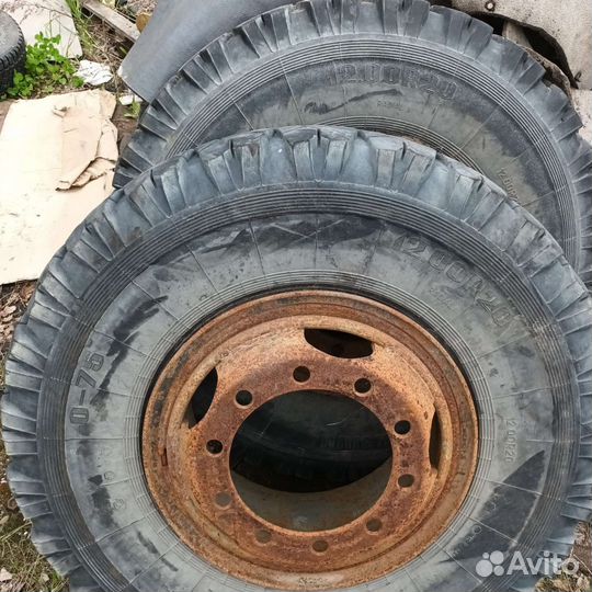 Шины 12 00 r 20 на дисках