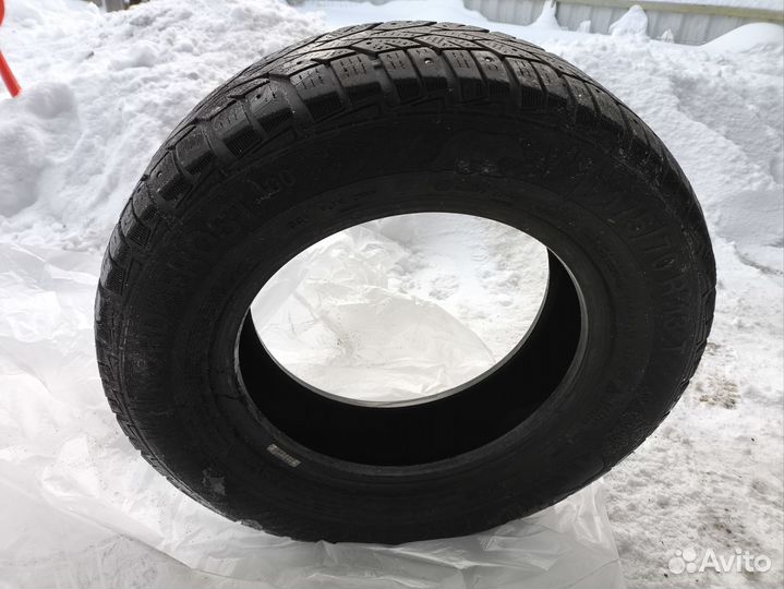 Gislaved NordFrost 100 175/70 R13