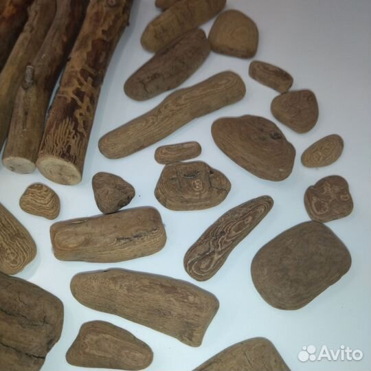 Дрифтвуд. Морское дерево