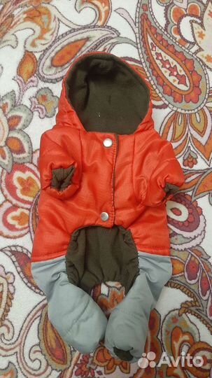 Одежда для собак