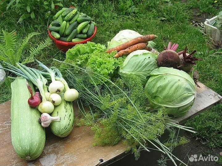 Перегной Навоза - 3-4года. Доставка