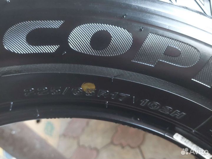 Bridgestone Ecopia EP850 225/65 R17 102H