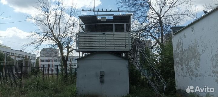 Голубятня продажа