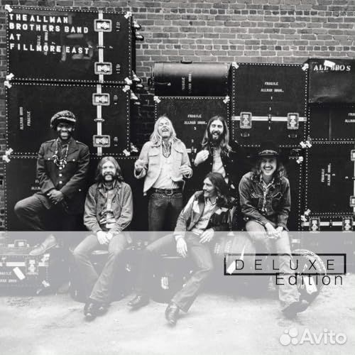 Allman Brothers Band, The - AT Fillmore East (coloured) (2 LP)