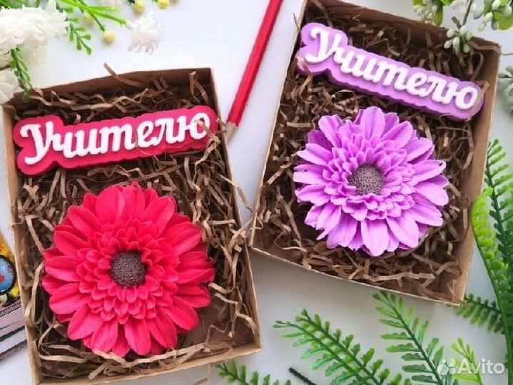 Набор учителю