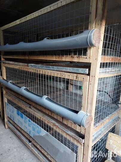 Клетки для кур ициплят