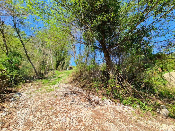 Участок 5 сот. (ИЖС)