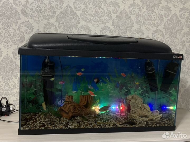 Аквариум