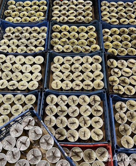 Свеча для дома 18 кг