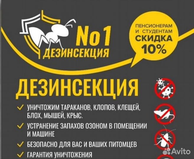 Дезинсекция
