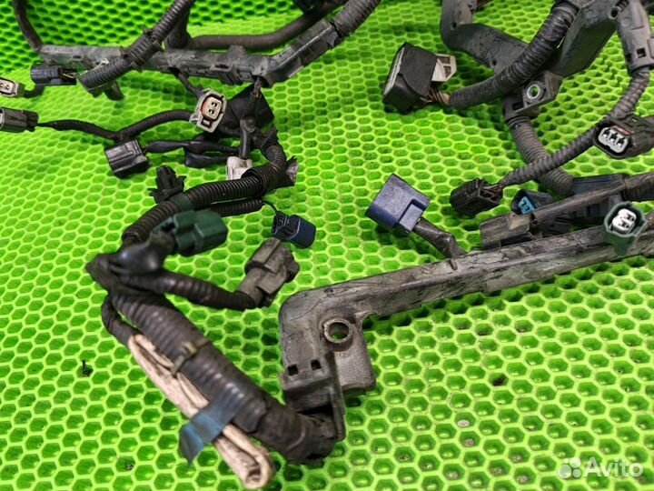 Проводка двигателя Acura Rdx TB1 K23A1 2007