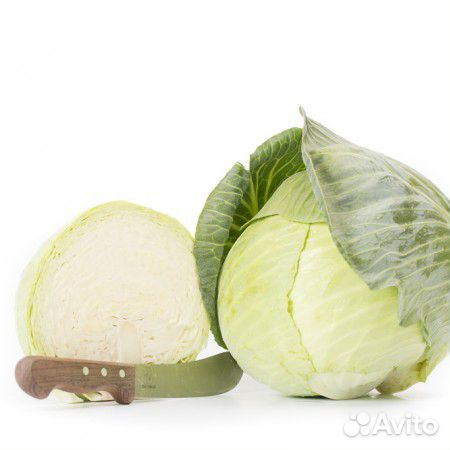 Семена Капусты 