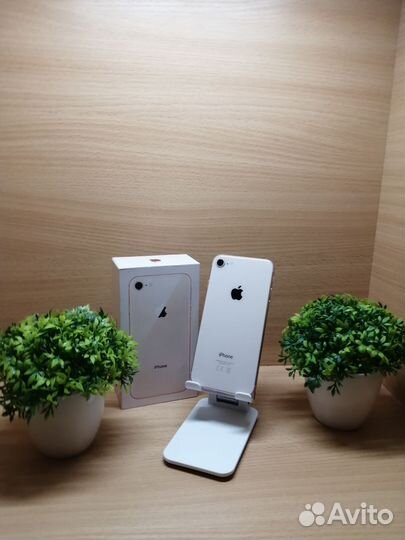 iPhone 8, 64 ГБ