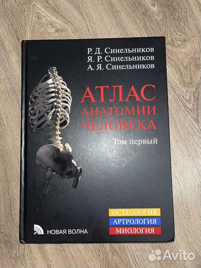 Атлас по анатомии синельников