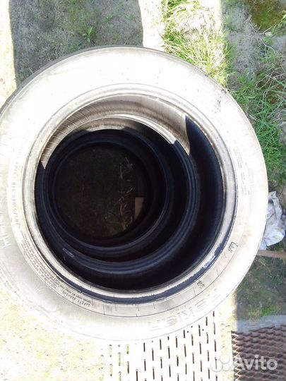 Accelera Beta 4.5 R4 19