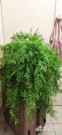 Искусственная трава в кашпо