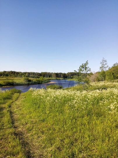 Участок 2 га (СНТ, ДНП)